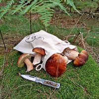 Säcke à la Leinenmit Druck 22 x 30 cm - für Pilze Lifehack - smarte Ideen