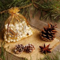 Organzasäcke 22 x 30 cm - Weihnachten / 3 Alle Produkte