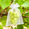Organzabeutel 30 x 40 cm - gold Obstbeutel